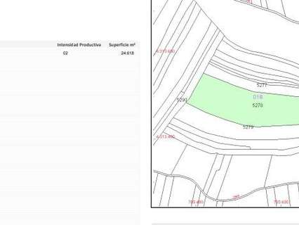 Parcela rústica en venta en Montijo