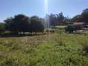 Parcela rústica en venta en Pazos de Borbén