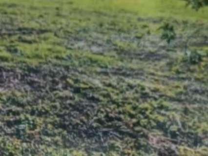 Piso en venta en Mos