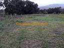 Parcela rústica en venta en Tomiño, rebajada