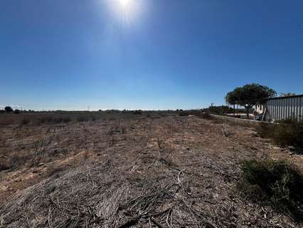 Parcela rústica en venta en Elche/Elx Torrellano