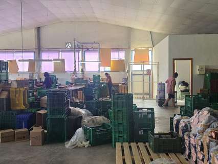 Nave industrial en alquiler en Elche/Elx