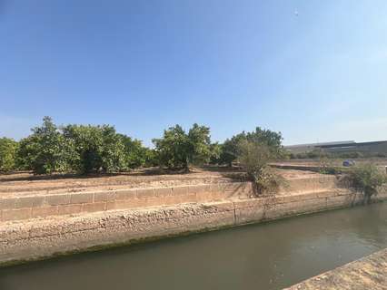 Parcela rústica en venta en Paterna