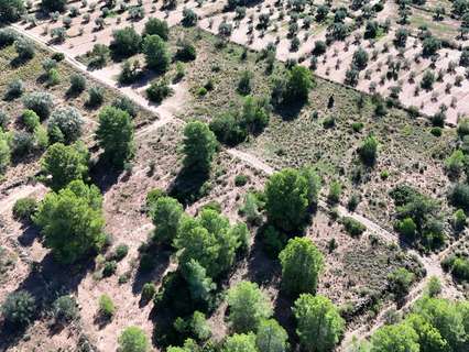 Parcela rústica en venta en Olocau