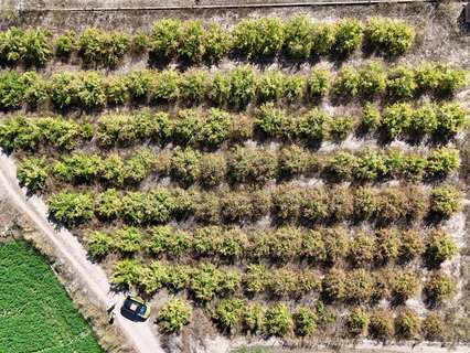 Parcela rústica en venta en Llíria