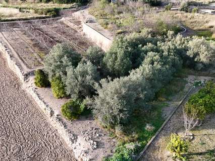 Parcela rústica en venta en Llíria