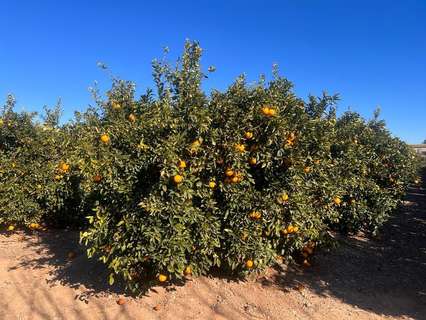 Parcela rústica en venta en Llíria