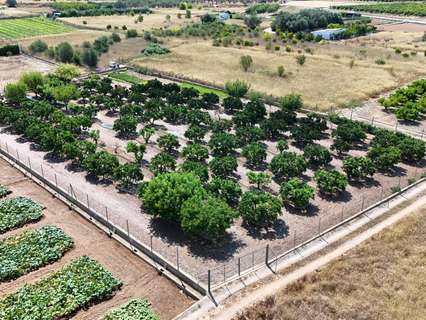 Parcela rústica en venta en Llíria