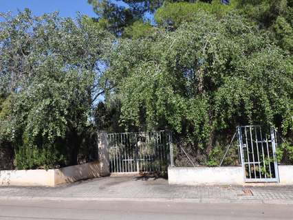 Parcela rústica en venta en Bétera