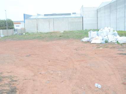 Parcela rústica en venta en Rafelbuñol/Rafelbunyol