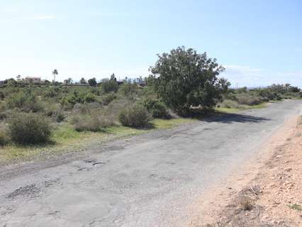 Parcela rústica en venta en Elche/Elx zona Perleta