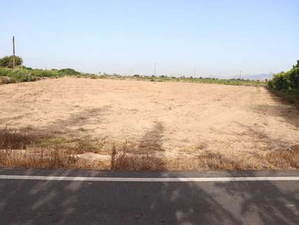 Parcela rústica en venta en Elche/Elx