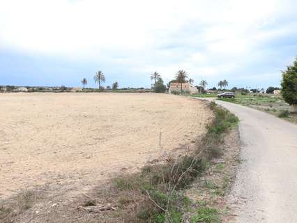 Parcela rústica en venta en Elche/Elx