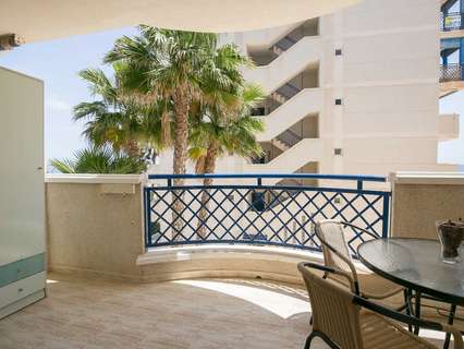 Estudio en alquiler en Elche/Elx Los Arenales del Sol