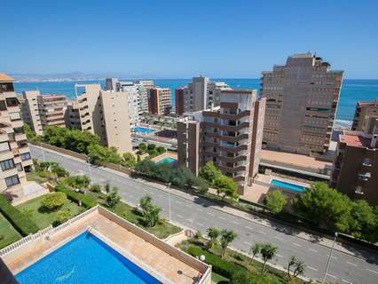 Apartamento en alquiler en Elche/Elx zona Los Arenales del Sol