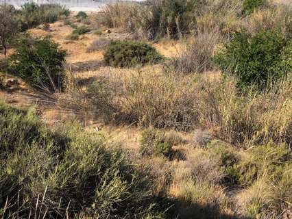 Parcela rústica en venta en Adra