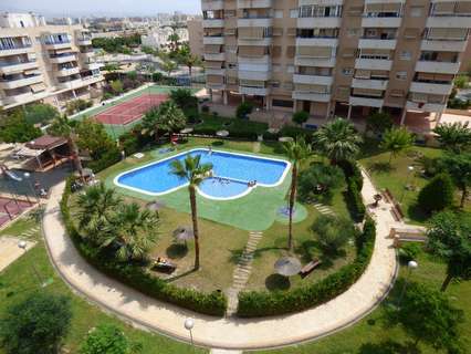 Piso en alquiler en Alicante Playa de San Juan