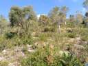 Parcela en venta en El Vendrell rebajada