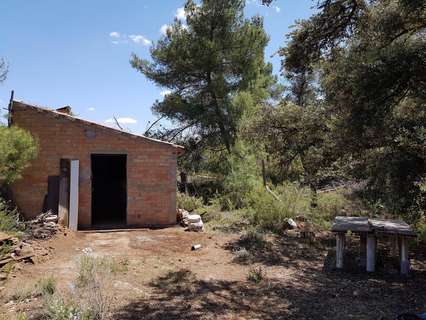 Parcela rústica en venta en La Pobla de Cérvoles