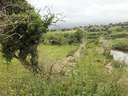 Parcela urbanizable en venta en Santillana del Mar