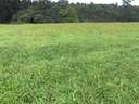 Finca en venta en Suances