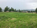 Parcela urbanizable en venta en Santillana del Mar Viveda