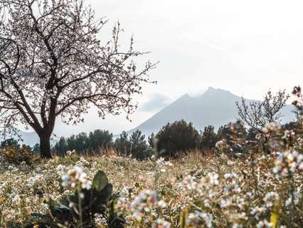 Hotel en venta en Alicante