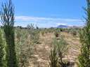 Parcela en venta en Altea zona ALTEA PUEBLO
