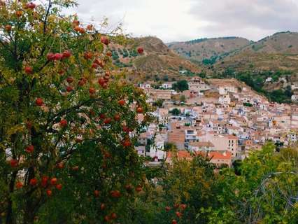 Parcela rústica en venta en Quéntar