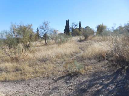 Parcela rústica en venta en Moraleda de Zafayona