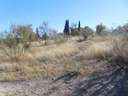 Parcela rústica en venta en Moraleda de Zafayona