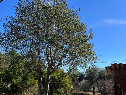 Chalet en venta en Sant Vicent del Raspeig