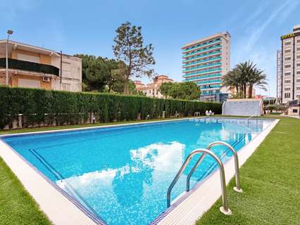 Apartamento en alquiler en Gandía