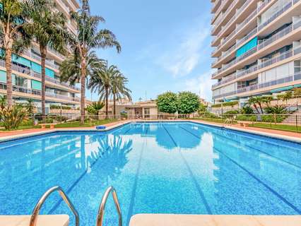 Apartamento en alquiler en Gandía