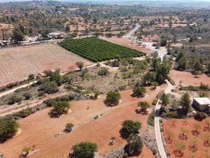 Parcela rústica en venta en Cheste