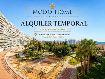 Piso en alquiler en Alicante