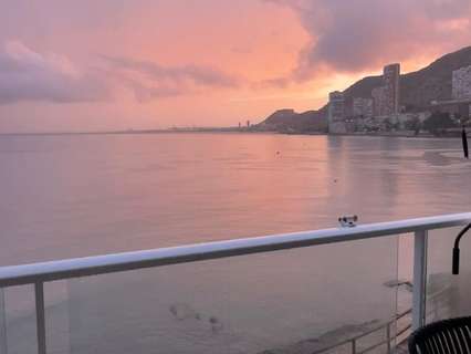 Estudio en alquiler en Alicante