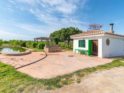 Parcela rústica en venta en Padul