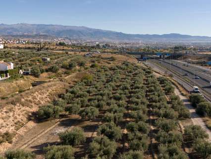 Parcela urbana en venta en Albolote