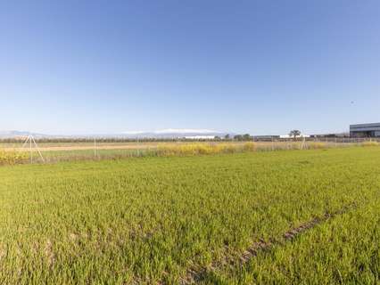 Parcela rústica en venta en Chauchina