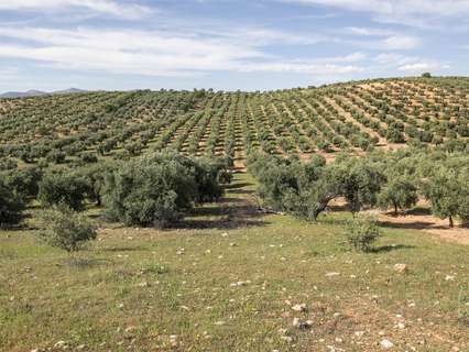 Parcela rústica en venta en Cogollos de la Vega