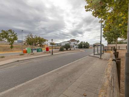 Parcela rústica en venta en Alhendín