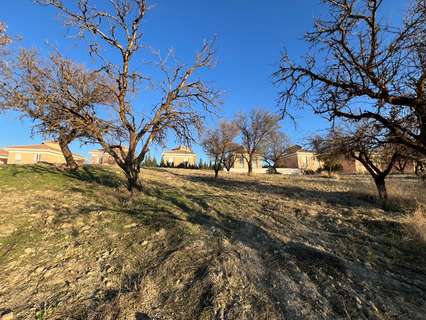 Parcela rústica en venta en Otura