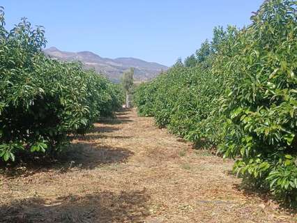 Parcela rústica en venta en El Valle