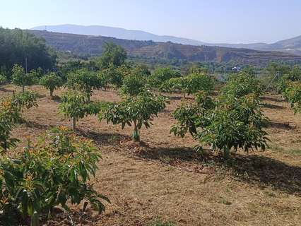 Parcela rústica en venta en Lecrín