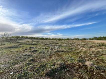 Parcela rústica en venta en Padul