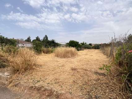 Parcela rústica en venta en Padul