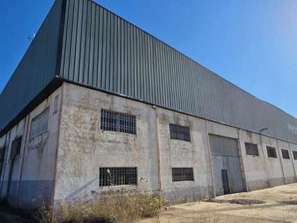 Nave industrial en alquiler en Murcia