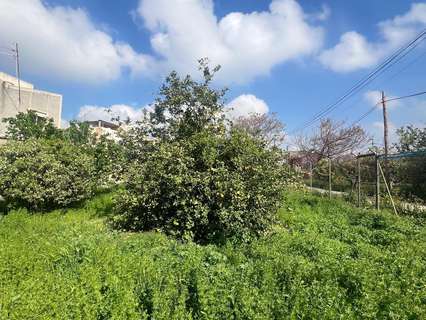 Parcela rústica en venta en Murcia