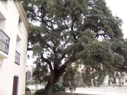 Casa rústica en venta en Mula